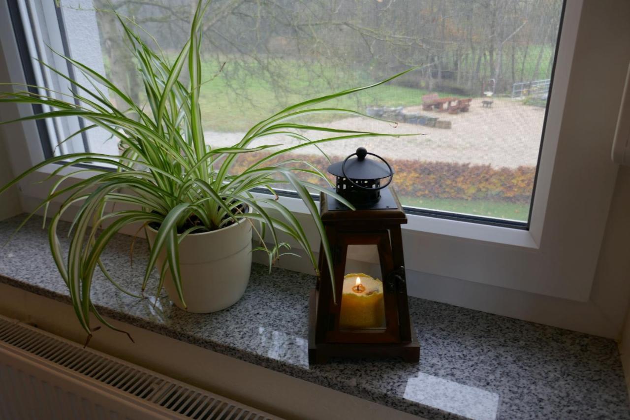 Appartement Landferien Eifel à Pittenbach Extérieur photo