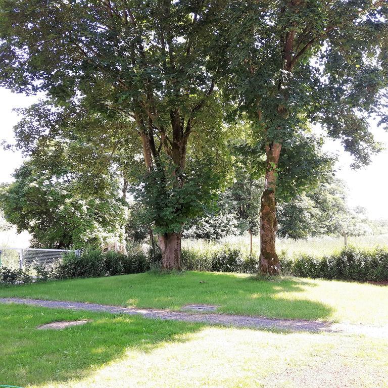Appartement Landferien Eifel à Pittenbach Extérieur photo