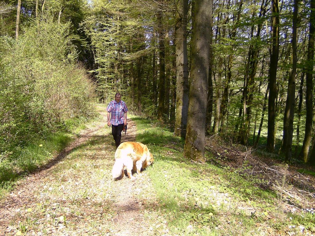 Appartement Landferien Eifel à Pittenbach Extérieur photo