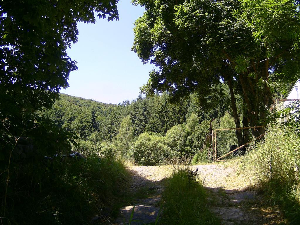 Appartement Landferien Eifel à Pittenbach Extérieur photo
